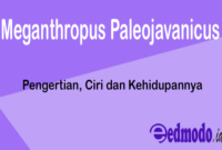 Meganthropus Paleojavanicus