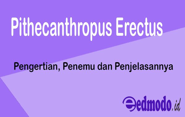 Pithecanthropus Erectus - Pengertian, Ciri, Penemu, Peniggalan
