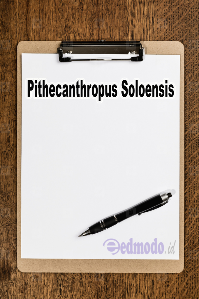 Pithecanthropus Soloensis
