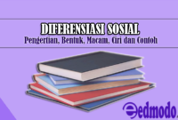 Diferensiasi Sosial