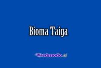 Bioma Taiga