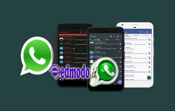 Apakah Whatsapp Delta MOD Apk Aman Digunakan?