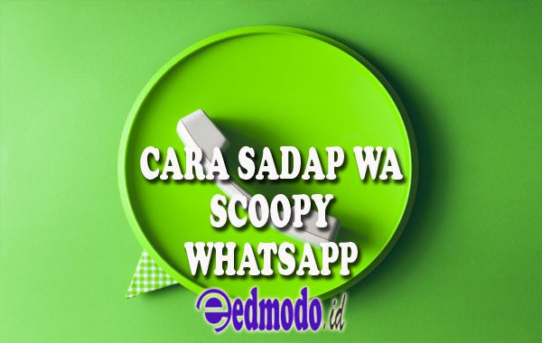 Review Scoopy Whatsapp