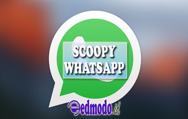 Scoopy Whatsapp