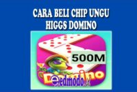 Tentang Cara Beli Chip Ungu Higgs Domino